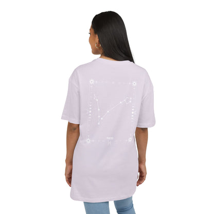 PISCES – KALAT T-Paita Unisex | Oversized Fit